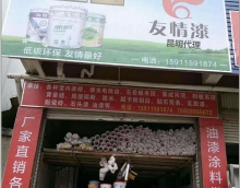 借力友情漆 開創新時代